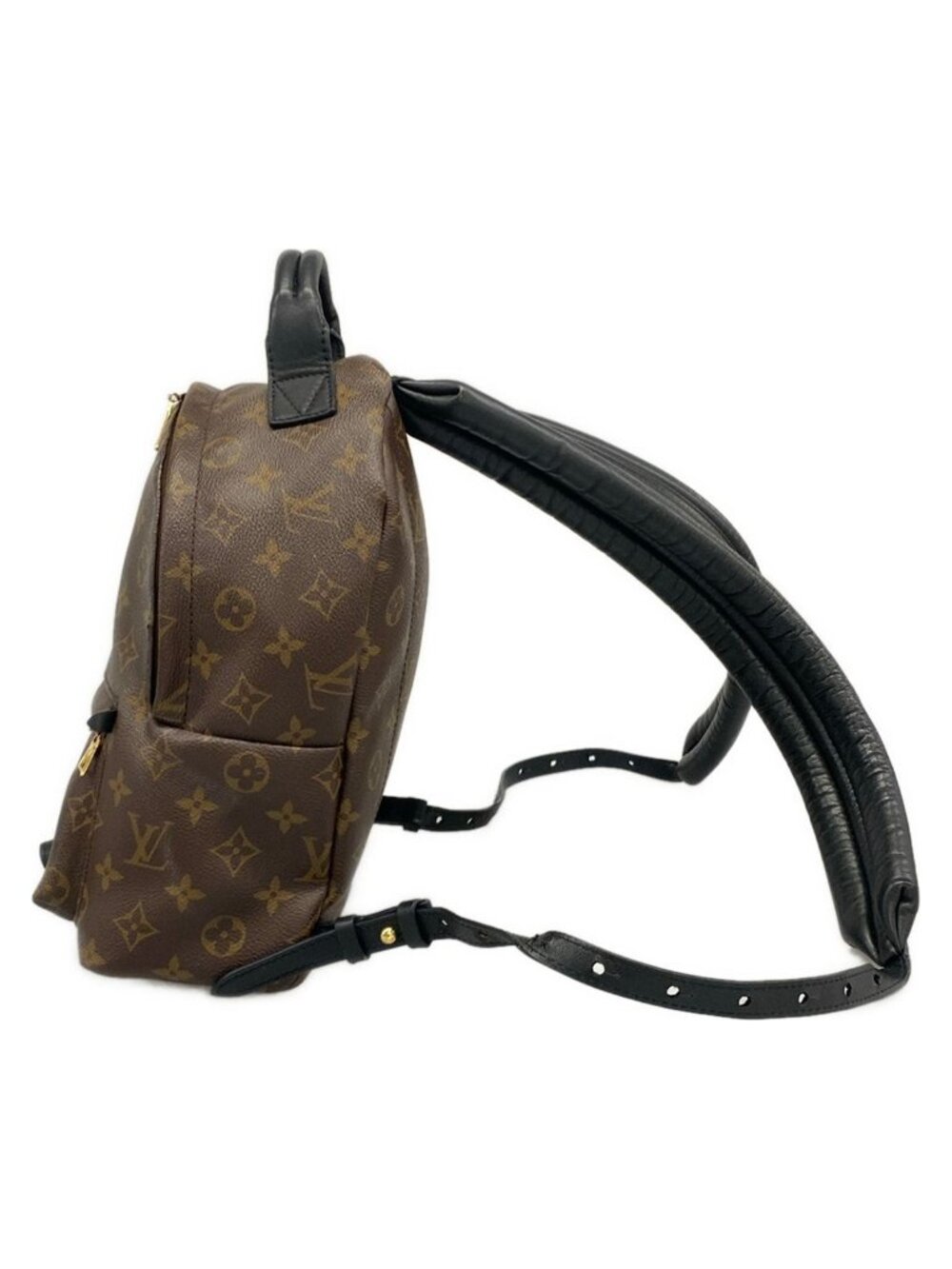 Louis Vuitton Sac Monogram Palm Springs Backpack PM - Picture 4 of 15